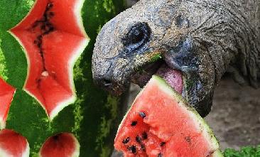 一周看天下：莫言领奖 倾情朗读