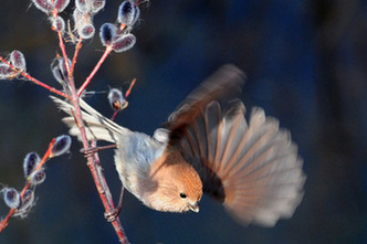 樂攝寶攝影大賽3月月賽評比結果揭曉