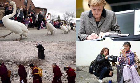 一周图片新闻精粹（4.08-4.14）