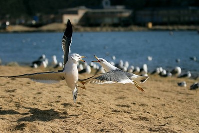 定格身邊的感動 組圖