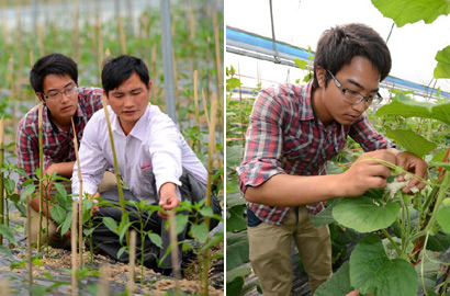 大学毕业生辞职回乡拜农为师