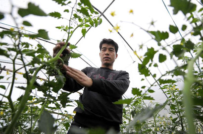 &ldquo;农场主&rdquo;陈新利盼望年轻人回归田地间