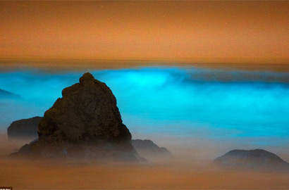 美國加州海灘驚現神秘藍色光芒