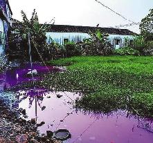 惠州一狂熱寶石村催生七彩毒河