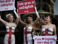 美女半裸彩繪現身倫敦街頭 抗議銷售鵝肝醬