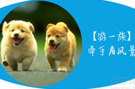 五一假期 你是哪一族?