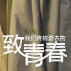 致我们终将逝去的青春
