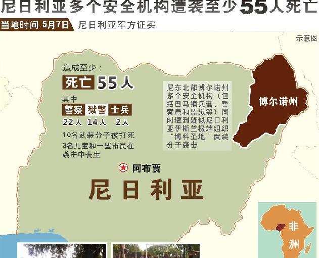 尼日利亚多个安全机构遭袭 至少55人死亡