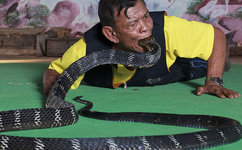 不可思议的极端达人秀