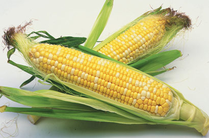 12种最佳健脑食物帮你提高记忆力