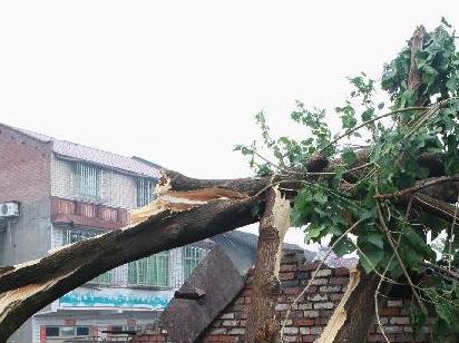 四川内江遭遇大风冰雹袭击