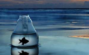 沒人會相信：富二代也悲劇！