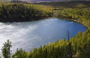 秋染興安嶺 人在畫中行