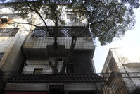 廣東中山民房內&ldquo;長&rdquo;出大樹 樹齡或超百年