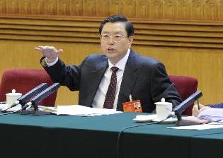 张德江参加河北代表团审议
