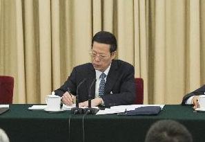 张高丽参加湖南代表团审议