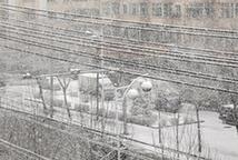 黑龍江牡丹江突降暴雪 四月飄雪重返&ldquo;冬季模式&rdquo;