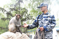 北空某场站驱鸟有&ldquo;利器&rdquo; &ldquo;齐天大圣&rdquo;显神威