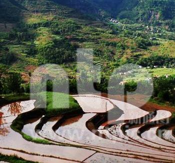 吟千古名句 賞巴山蜀水