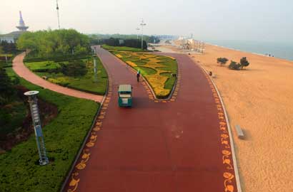 山東日照海邊現中國最美最浪漫玫瑰大道