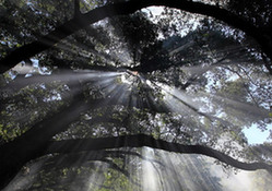 6個tips讓風光照片更有吸引力