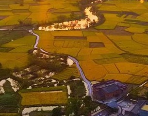 金秋之際 田園風情