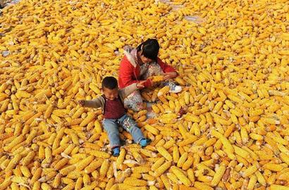 我们的粮食何处安放？