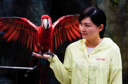 陈蓉：&ldquo;80后&rdquo;美女兽医