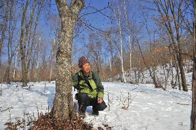 出人、出钱、出力：农民&ldquo;刘发疯&rdquo;的保护东北虎之路