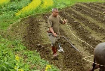 春节盘点&mdash;&mdash;不同方式过春节