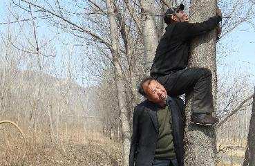 【图片故事】河北两名残疾人十载植树上万棵