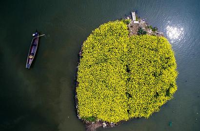 污染总量超工业 农村环保警声疾