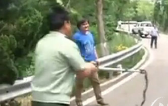 威海市区惊现几百条蛇群 民警捕蛇被咬