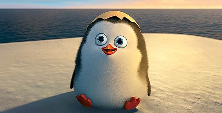 这是一种以卖萌为己任的动物！