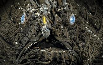 深海恐惧症慎入 实拍震撼海底生物