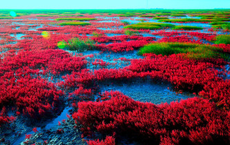 十大初秋色彩旅行地玩的就是浪漫