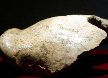 历史上的12月2日:北京猿人首个完整头盖骨被发掘