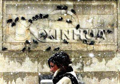  ��������...