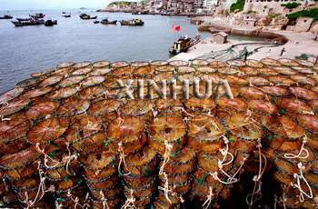  ��������...