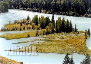  ��������...