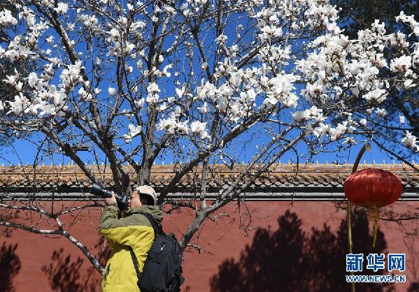 （新华全媒头条&middot;图文互动）（12）谱写首都发展新篇章&mdash;&mdash;以习近平同志为核心的党中央关心推动首都发展纪实