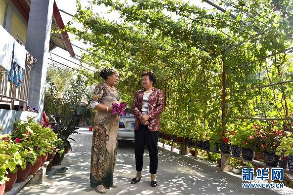 (十九大代表风采·图文互动)(2)“农民”李元敏:打造村民引以为豪的新“盖买”