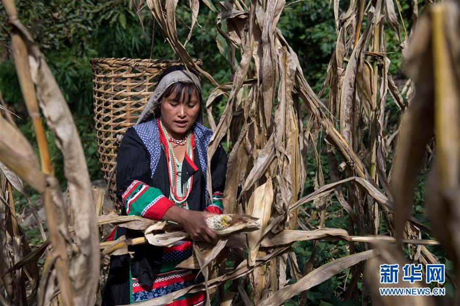 （砥砺奋进的五年）（5）怒江金满村：&ldquo;搬&rdquo;出新希望