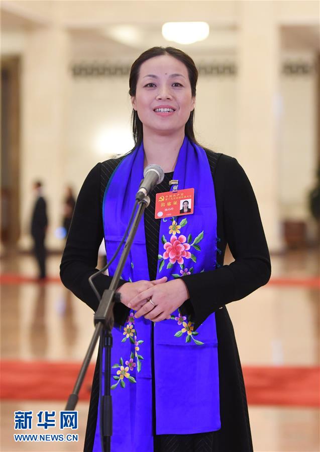 （十九大&middot;党代表通道）（19）采访党代表