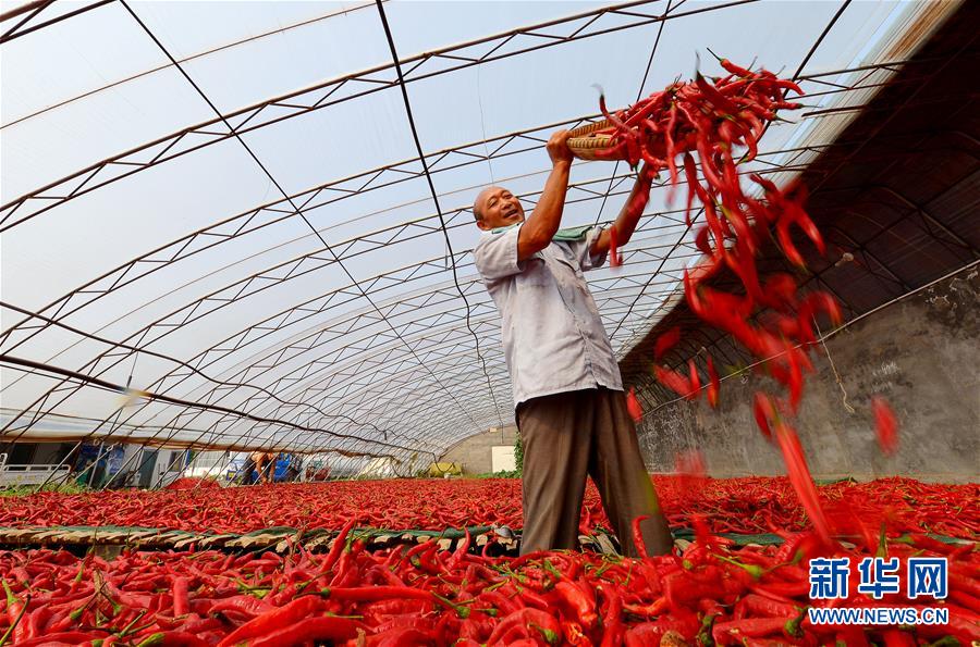 （十九大&middot;读报告 话民生）（11）坚决打赢脱贫攻坚战