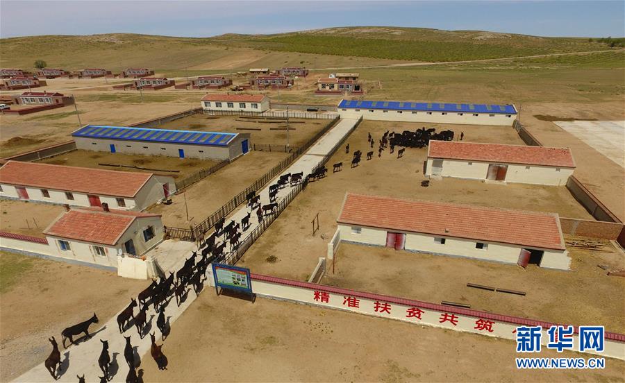 （十九大&middot;读报告 话民生）（14）坚决打赢脱贫攻坚战