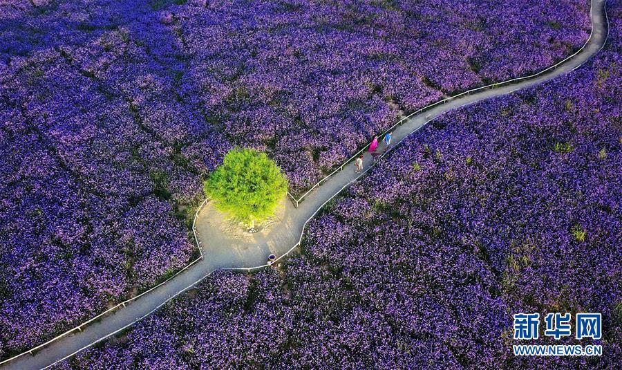 (十九大·读报告 话民生)(7)加快生态文明体制改革,建设美丽中国