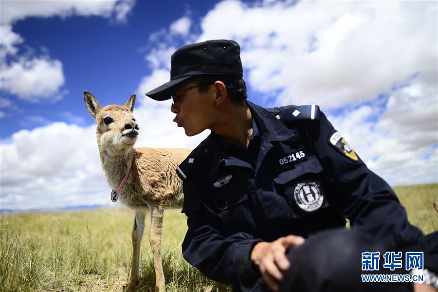 (十九大·读报告 话民生)(8)加快生态文明体制改革,建设美丽中国