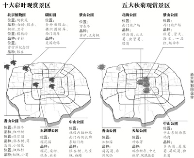 京城十大彩叶观赏景区：观赏秋菊彩叶风景最好