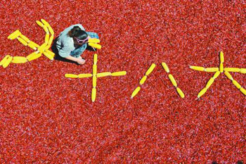 青年党员寄语十八大